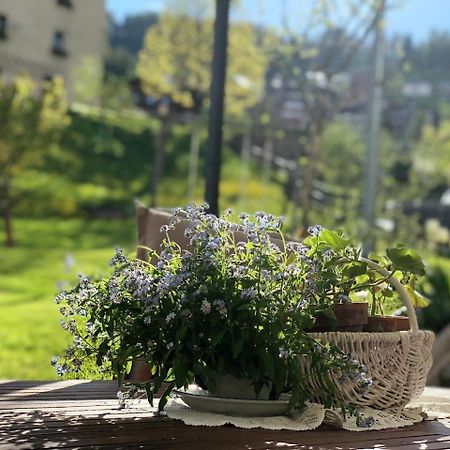 Dolomites Charme Chalet Colle Santa Lucia Buitenkant foto