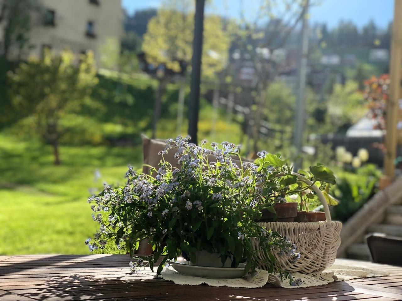 Dolomites Charme Chalet Colle Santa Lucia Buitenkant foto